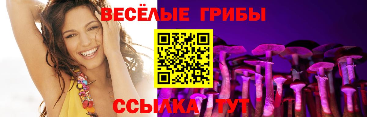 Галлюциногенные грибы мицелий Рыбинск